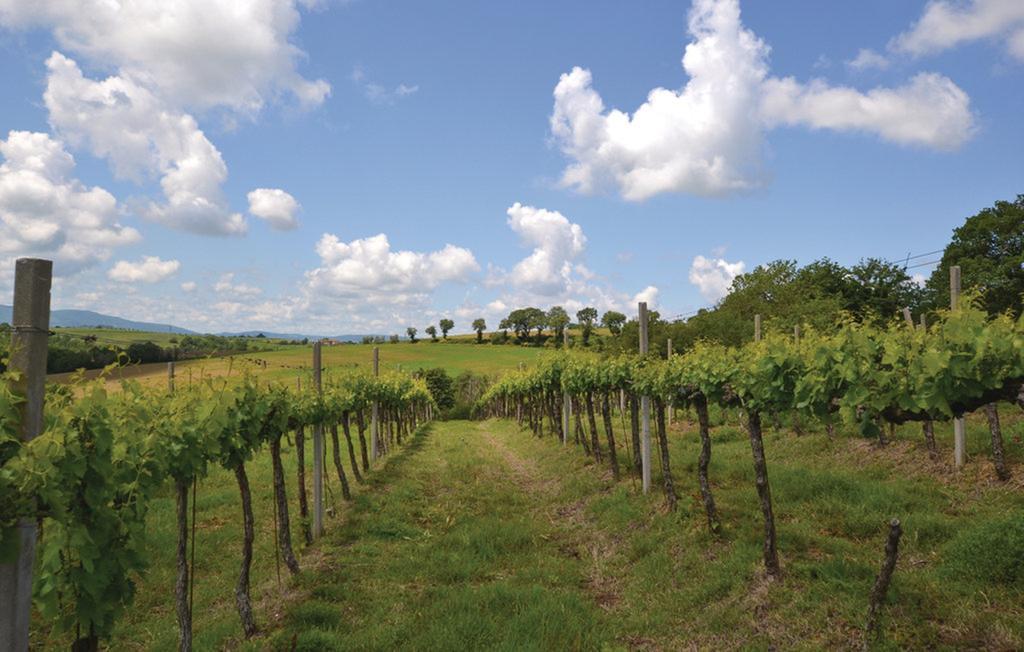 Отель Agriturismo Il Canto Della Gallina Villastrada  Экстерьер фото